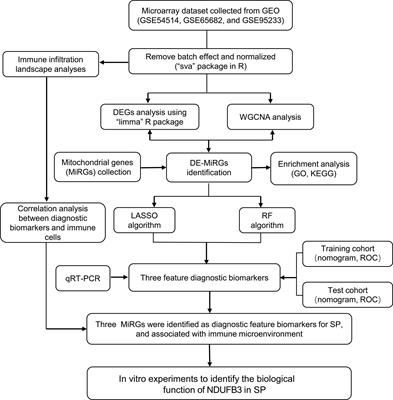 Identification and experimental validation of mitochondria-related genes biomarkers associated with immune infiltration for sepsis